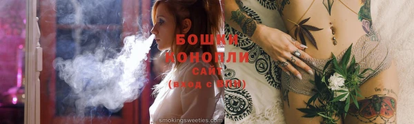 МДПВ Ельня