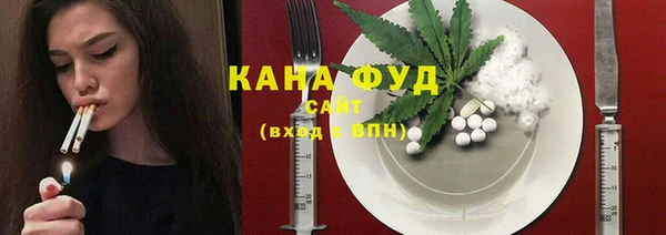 дживик Елабуга