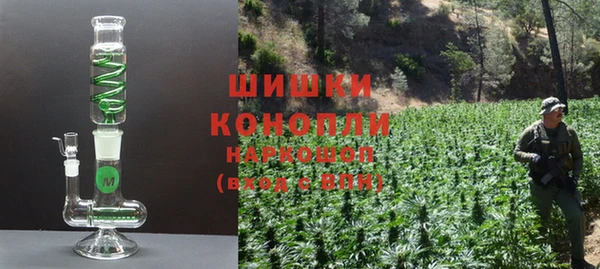МДПВ Ельня