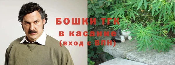 дживик Елабуга