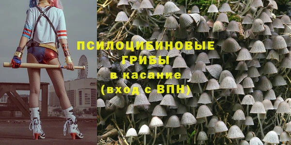 дживик Елабуга