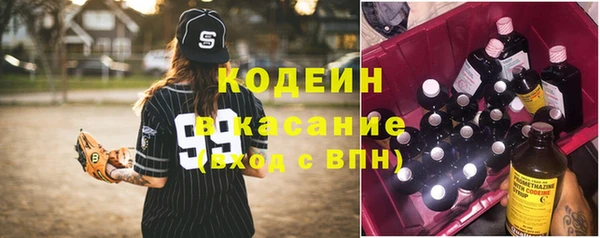 дживик Елабуга