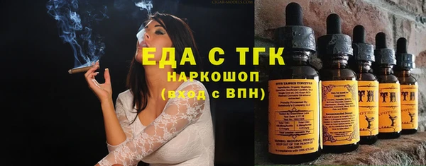 дживик Елабуга