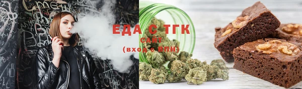 МДПВ Ельня