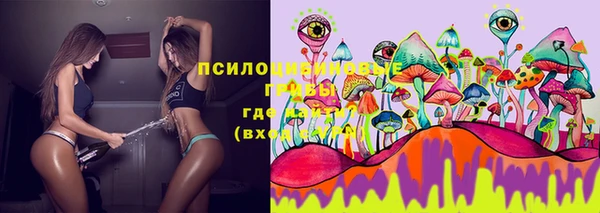 круглые Елизово