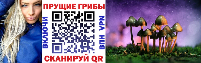 Купить где  Мурино  Псилоцибиновые грибы ЛСД 